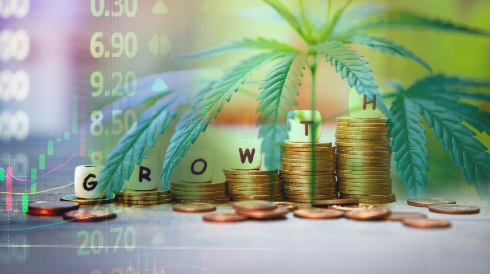 Ncrma scholarship | cannabis business marijuana leaves stack coins | ncrma meeting 2020 cannabis conference