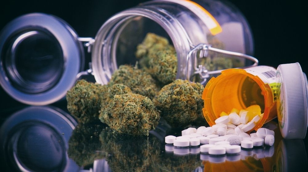 Detail cannabis buds prescriptions pills | mjbizcon 2021 | featured